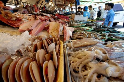Toxic red tide detected in 8 areas — BFAR .